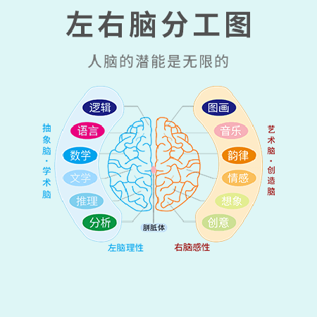 专注3年级-9年级孩子大脑记忆潜能开发